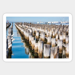 Wooden piles off Princess Pier, Melbourne. Sticker